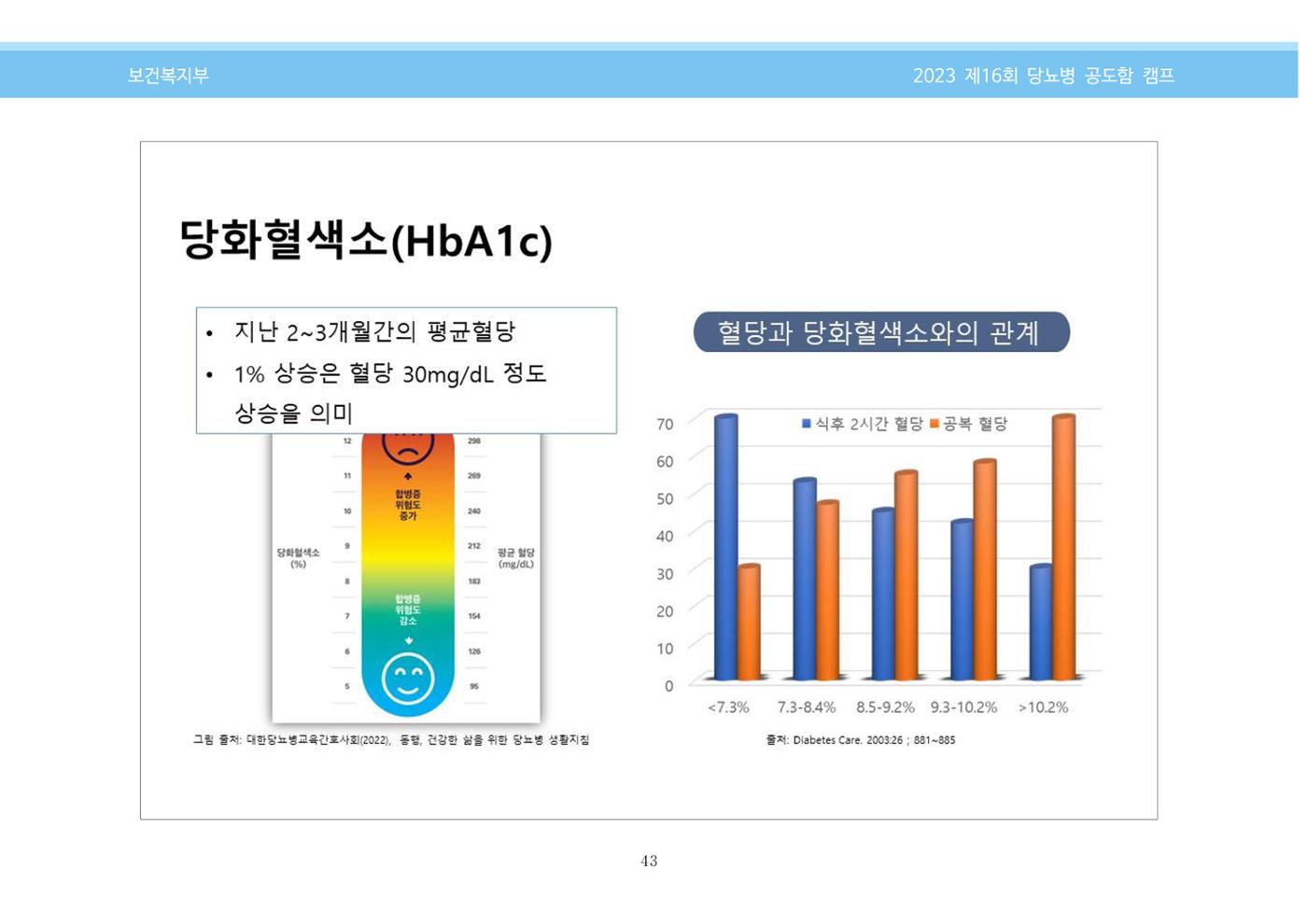 한국소아당뇨인협회 16회 공도함 캠프 E북 자료집 43페이지