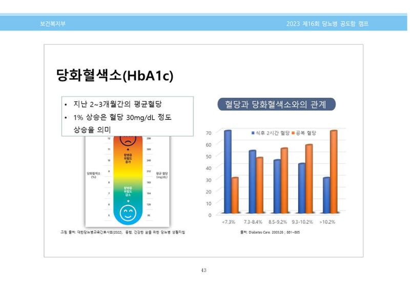 한국소아당뇨인협회 16회 공도함 캠프 E북 자료집 43페이지