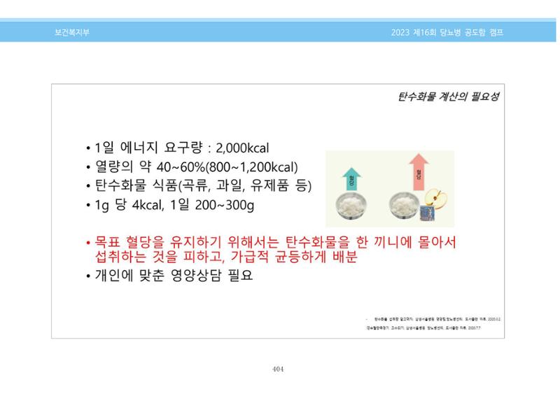한국소아당뇨인협회 16회 공도함 캠프 E북 자료집 404페이지