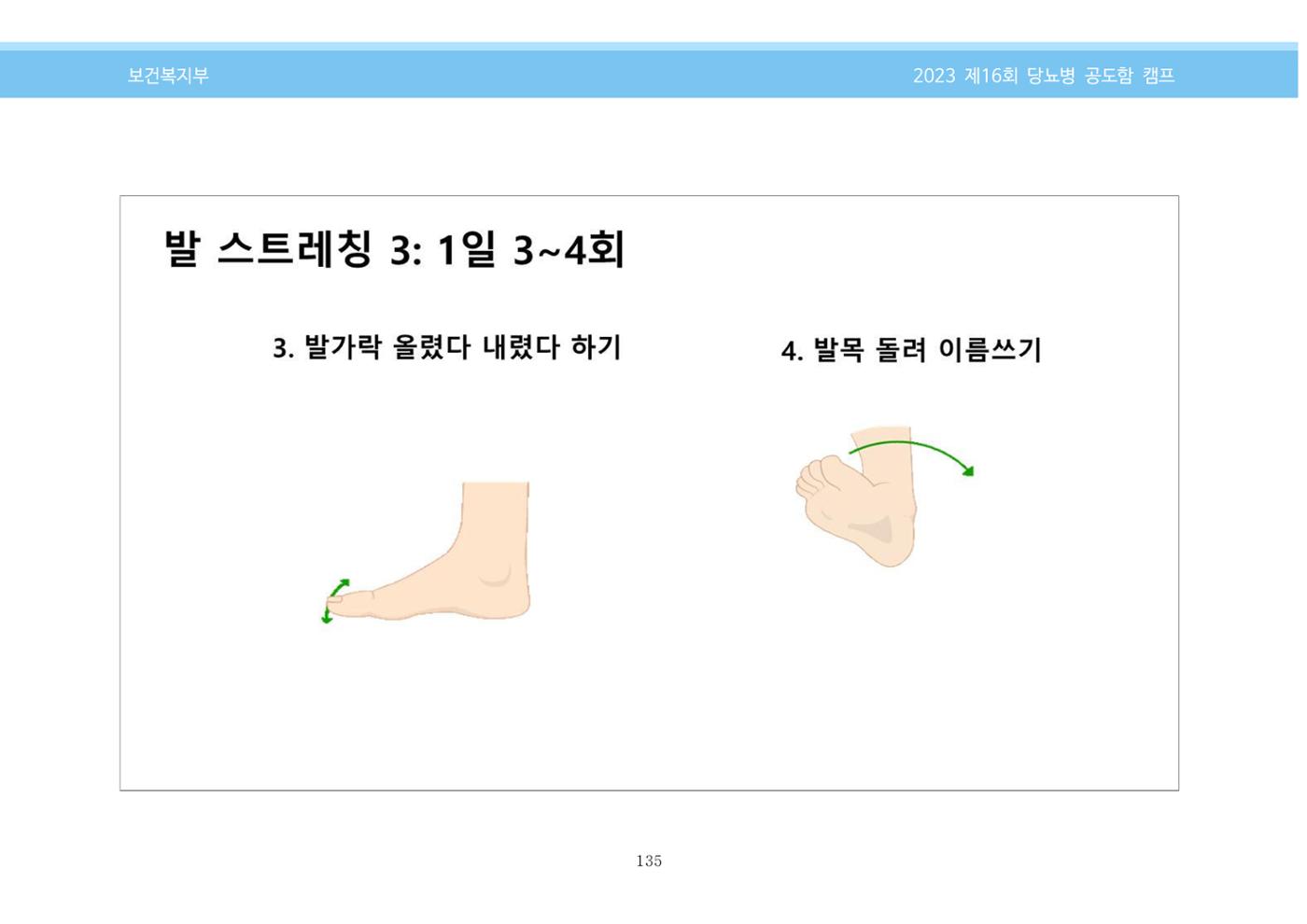 한국소아당뇨인협회 16회 공도함 캠프 E북 자료집 135페이지