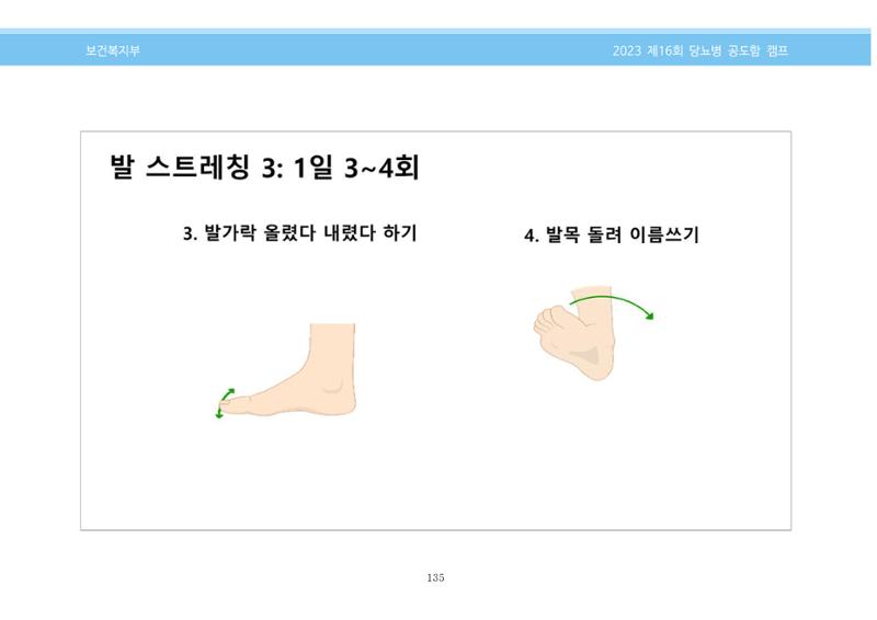 한국소아당뇨인협회 16회 공도함 캠프 E북 자료집 135페이지