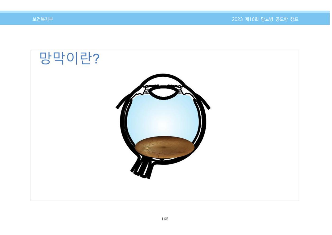 한국소아당뇨인협회 16회 공도함 캠프 E북 자료집 165페이지