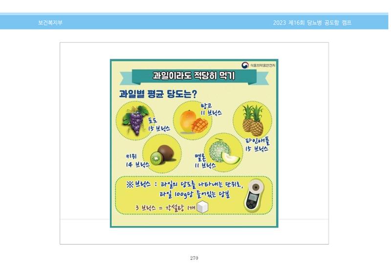 한국소아당뇨인협회 16회 공도함 캠프 E북 자료집 270페이지