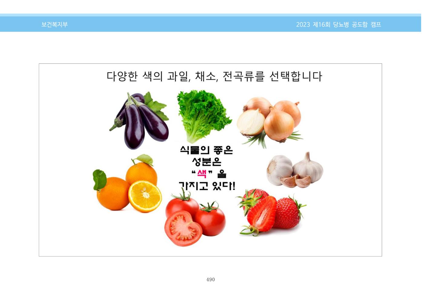 한국소아당뇨인협회 16회 공도함 캠프 E북 자료집 490페이지