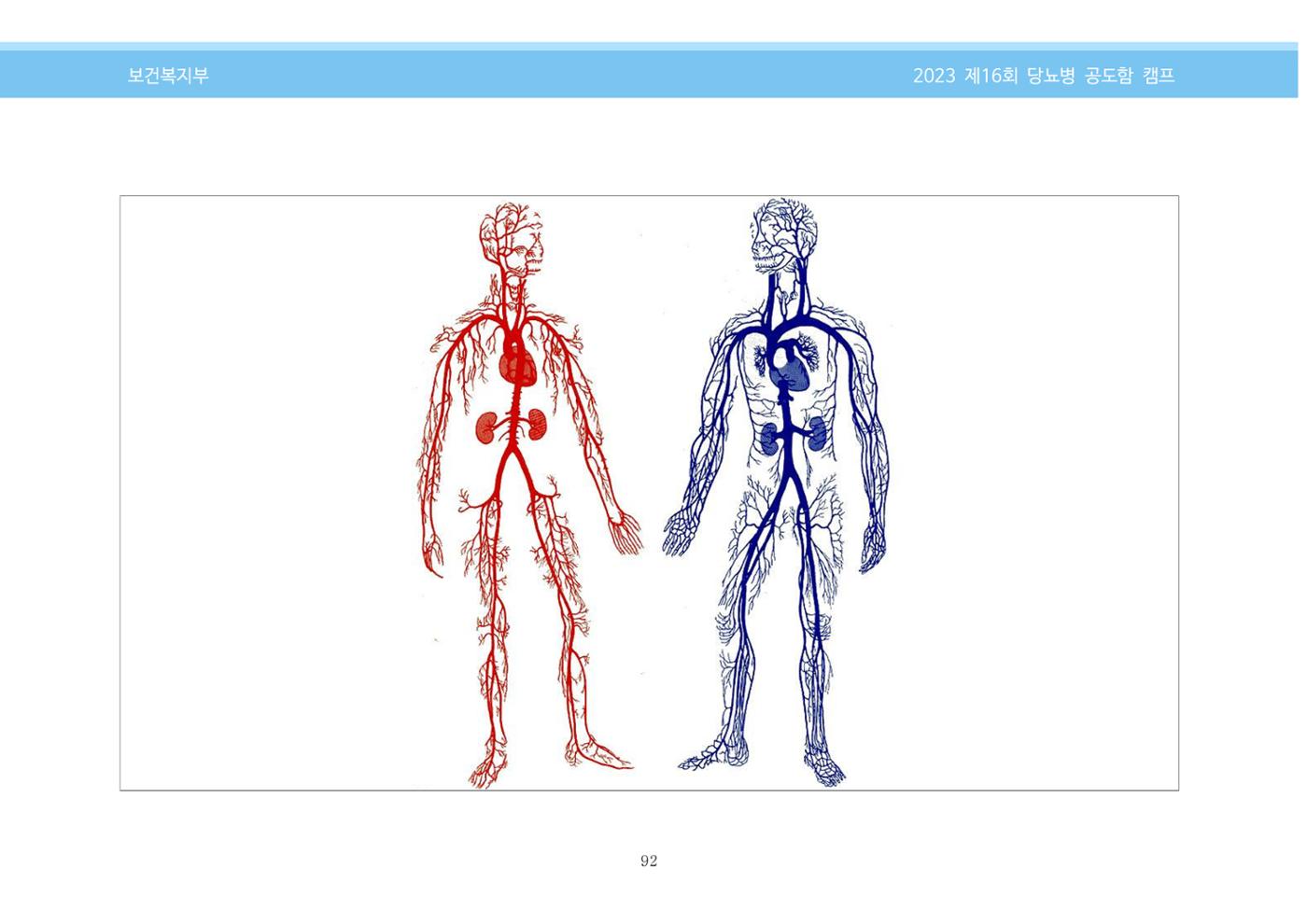한국소아당뇨인협회 16회 공도함 캠프 E북 자료집 92페이지
