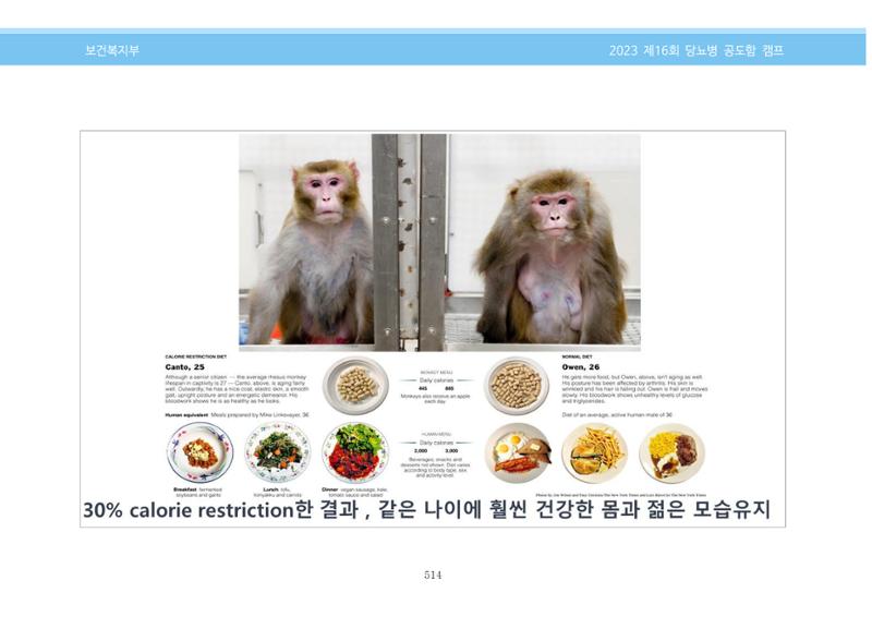 한국소아당뇨인협회 16회 공도함 캠프 E북 자료집 514페이지
