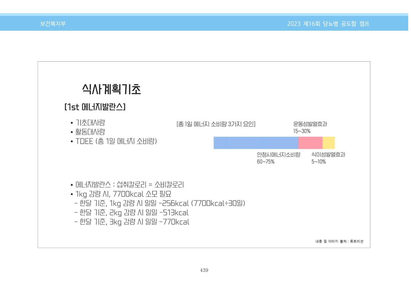 한국소아당뇨인협회 16회 공도함 캠프 E북 자료집 439페이지