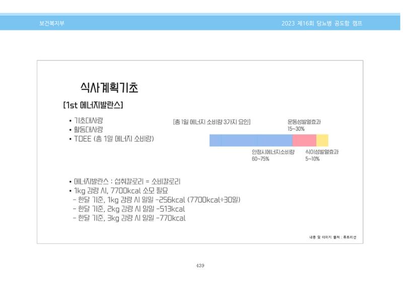 한국소아당뇨인협회 16회 공도함 캠프 E북 자료집 439페이지