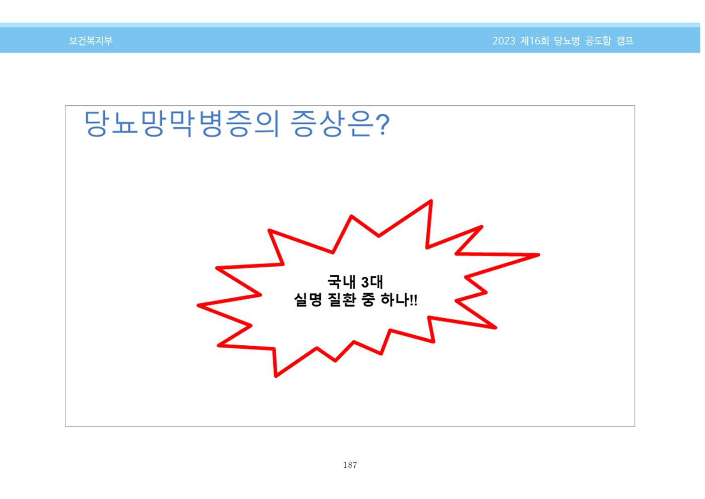 한국소아당뇨인협회 16회 공도함 캠프 E북 자료집 187페이지