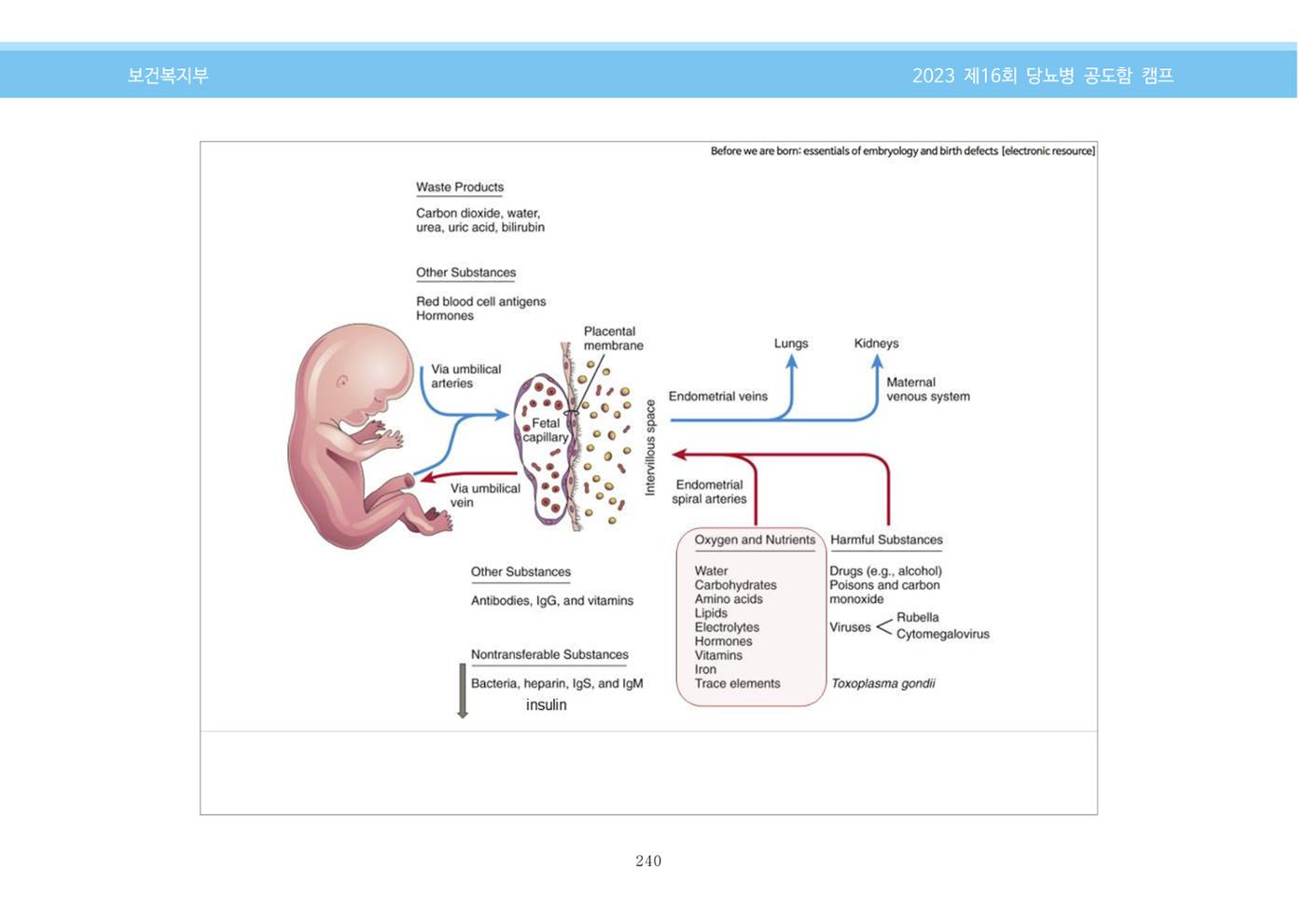 한국소아당뇨인협회 16회 공도함 캠프 E북 자료집 240페이지