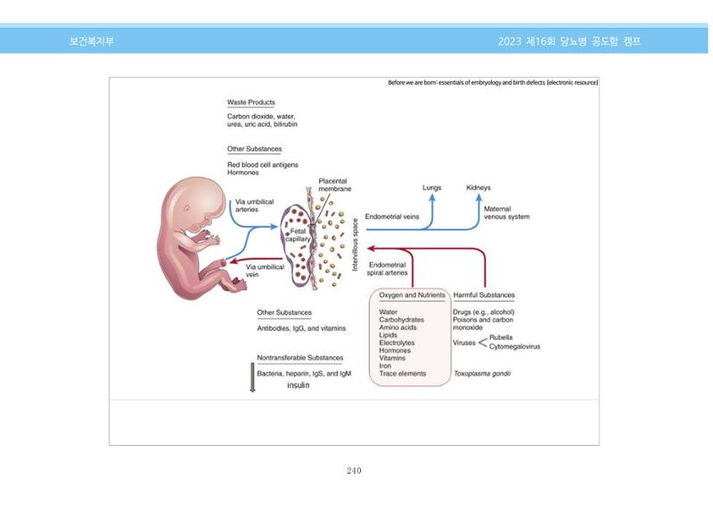 한국소아당뇨인협회 16회 공도함 캠프 E북 자료집 240페이지