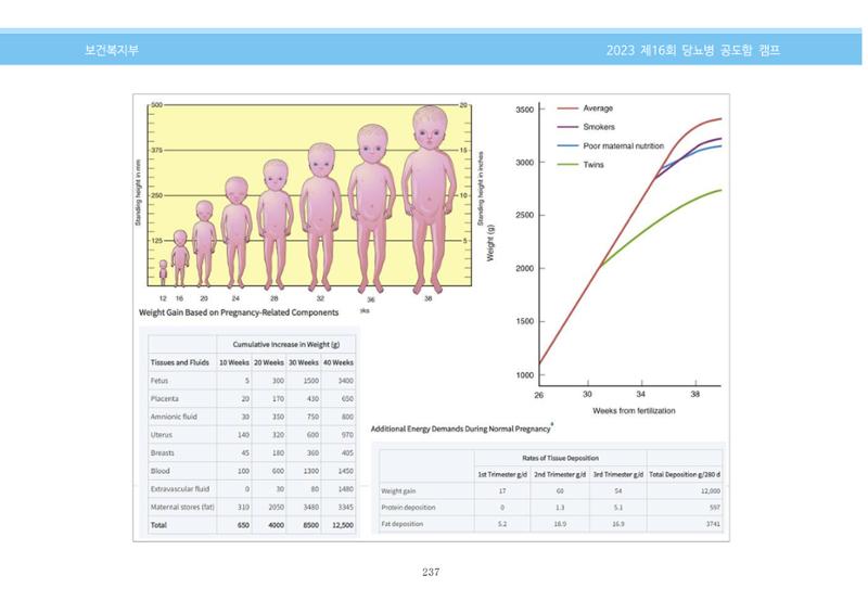 한국소아당뇨인협회 16회 공도함 캠프 E북 자료집 237페이지