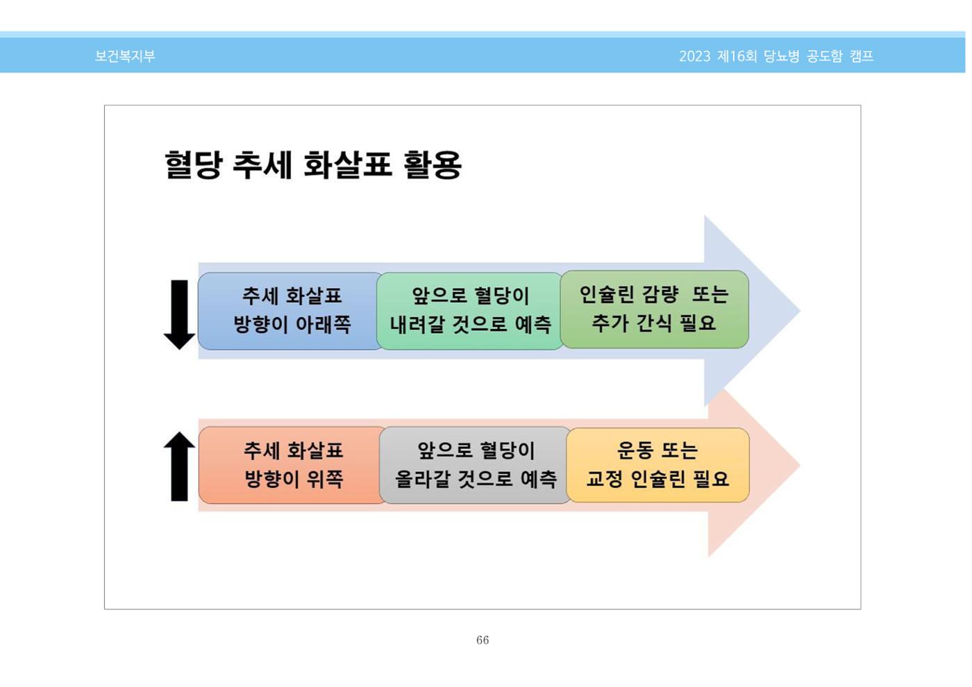 한국소아당뇨인협회 16회 공도함 캠프 E북 자료집 66페이지