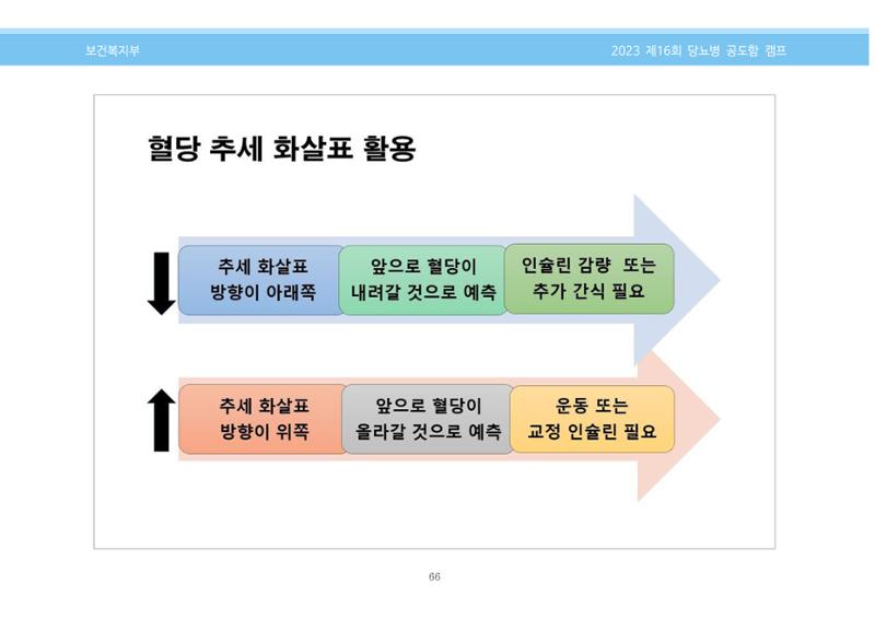한국소아당뇨인협회 16회 공도함 캠프 E북 자료집 66페이지