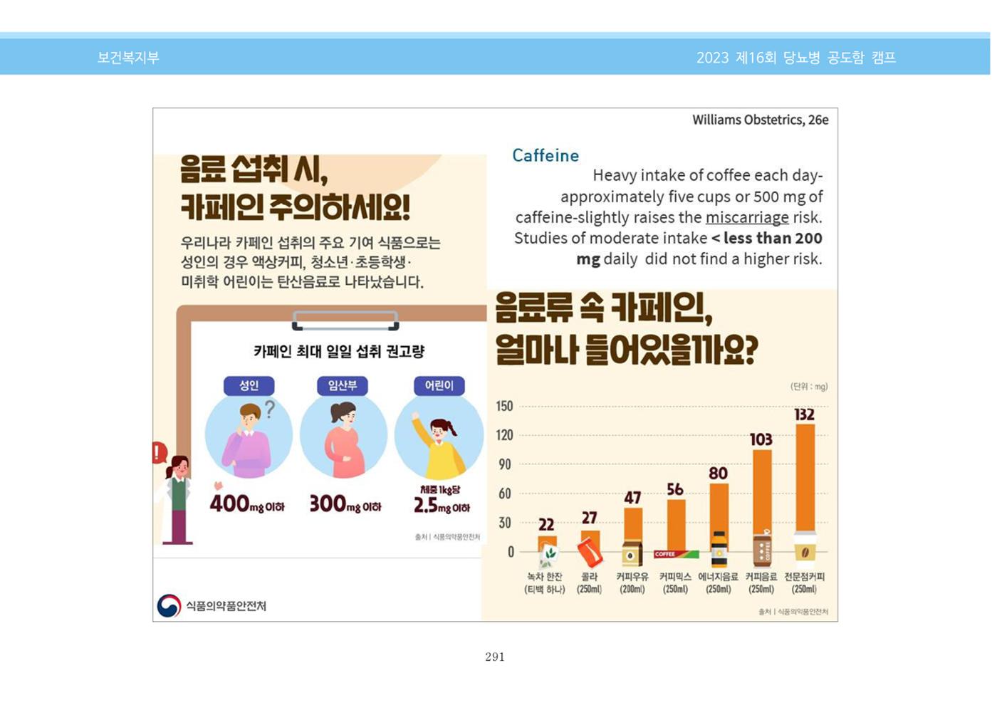 한국소아당뇨인협회 16회 공도함 캠프 E북 자료집 291페이지
