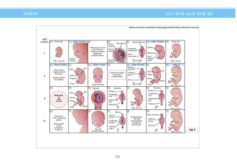 한국소아당뇨인협회 16회 공도함 캠프 E북 자료집 235페이지