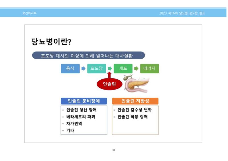 한국소아당뇨인협회 16회 공도함 캠프 E북 자료집 33페이지