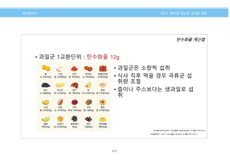 한국소아당뇨인협회 16회 공도함 캠프 E북 자료집 412페이지