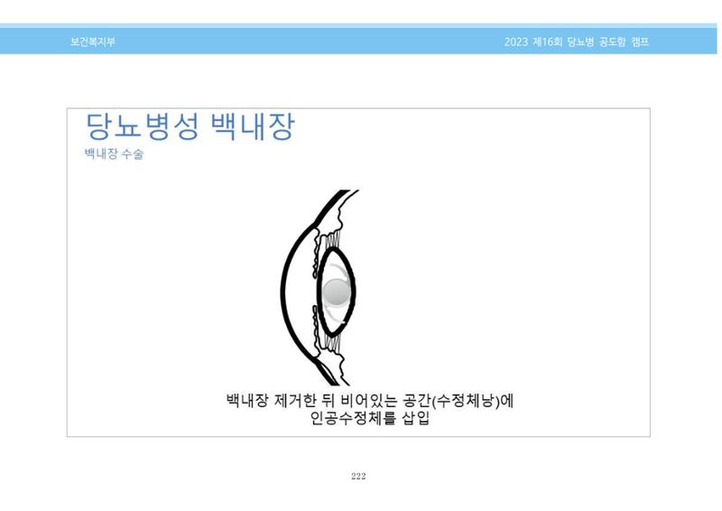 한국소아당뇨인협회 16회 공도함 캠프 E북 자료집 222페이지