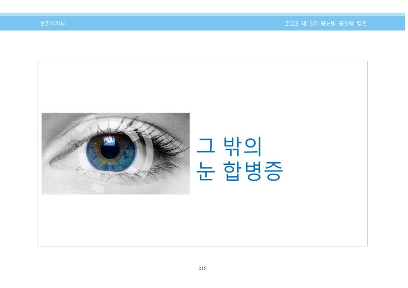 한국소아당뇨인협회 16회 공도함 캠프 E북 자료집 219페이지