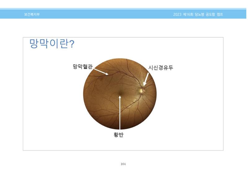 한국소아당뇨인협회 16회 공도함 캠프 E북 자료집 164페이지