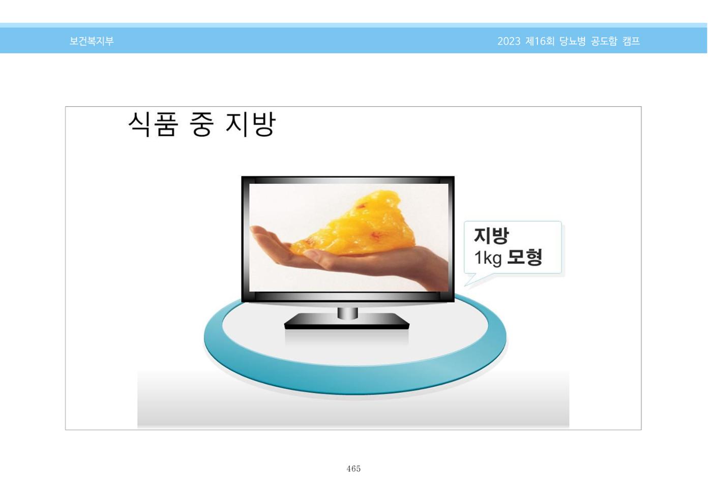 한국소아당뇨인협회 16회 공도함 캠프 E북 자료집 465페이지