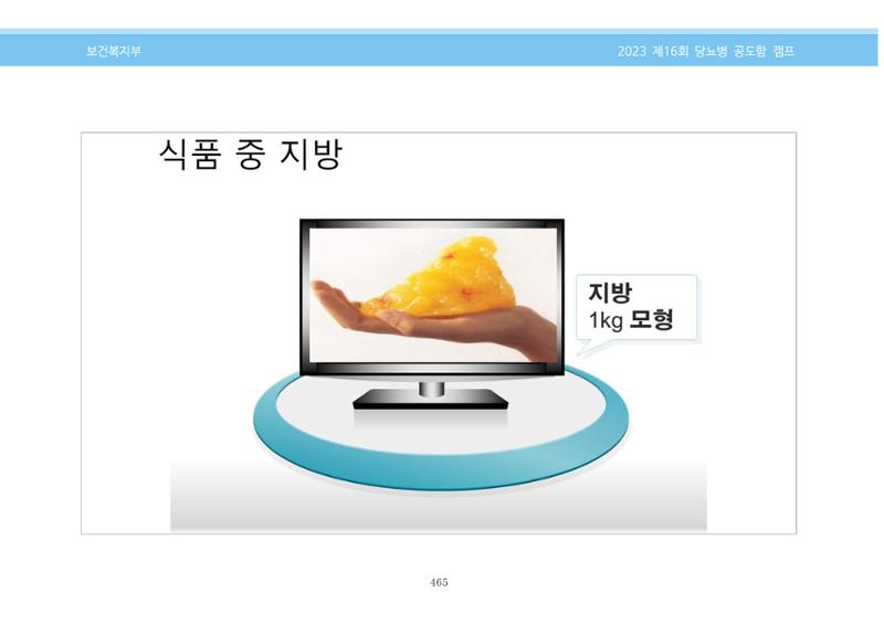 한국소아당뇨인협회 16회 공도함 캠프 E북 자료집 465페이지