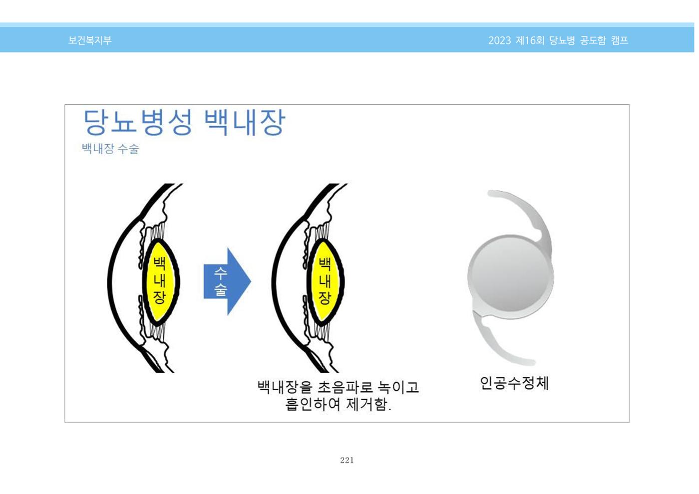 한국소아당뇨인협회 16회 공도함 캠프 E북 자료집 221페이지