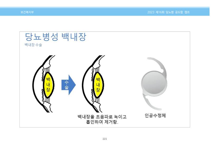 한국소아당뇨인협회 16회 공도함 캠프 E북 자료집 221페이지
