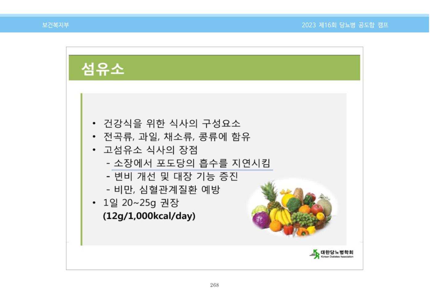 한국소아당뇨인협회 16회 공도함 캠프 E북 자료집 268페이지