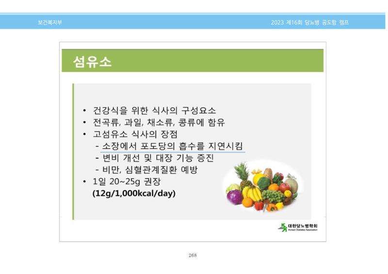 한국소아당뇨인협회 16회 공도함 캠프 E북 자료집 268페이지