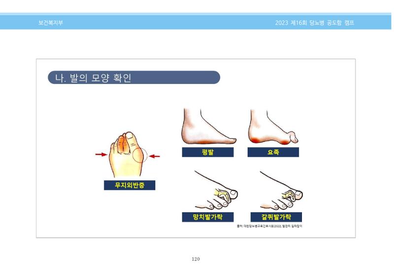 한국소아당뇨인협회 16회 공도함 캠프 E북 자료집 120페이지