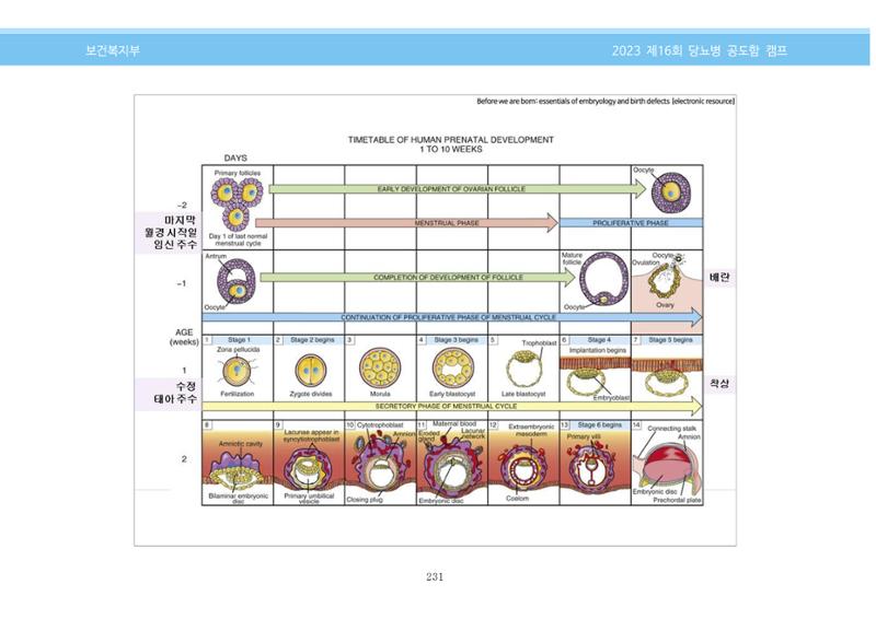 한국소아당뇨인협회 16회 공도함 캠프 E북 자료집 231페이지