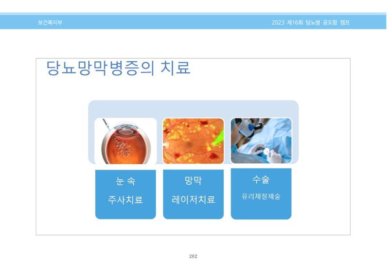 한국소아당뇨인협회 16회 공도함 캠프 E북 자료집 202페이지