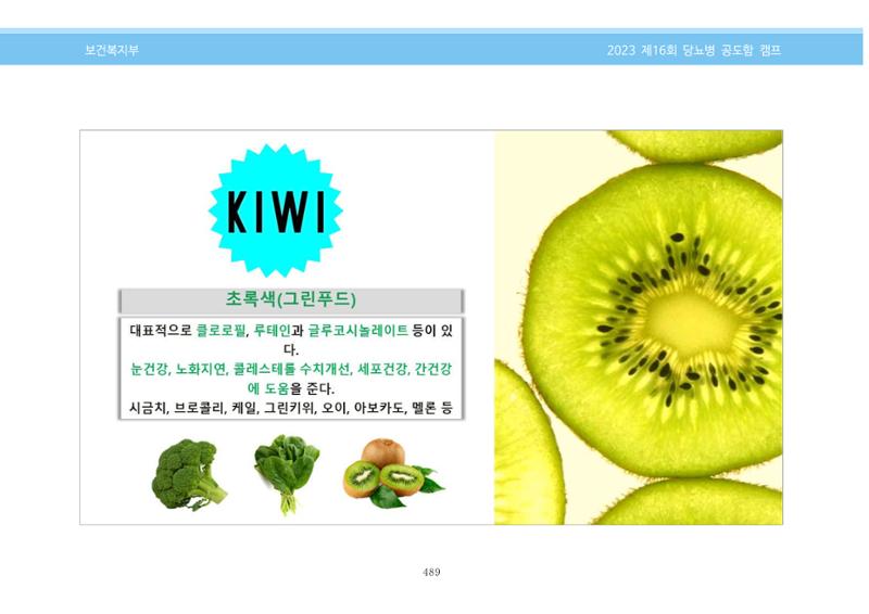 한국소아당뇨인협회 16회 공도함 캠프 E북 자료집 489페이지