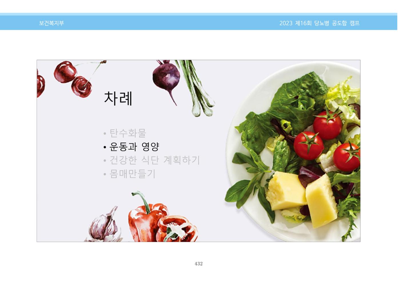 한국소아당뇨인협회 16회 공도함 캠프 E북 자료집 432페이지
