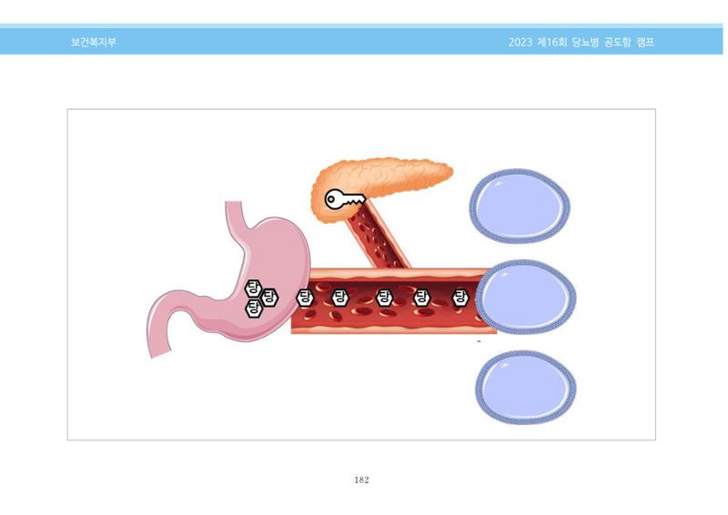 한국소아당뇨인협회 16회 공도함 캠프 E북 자료집 182페이지