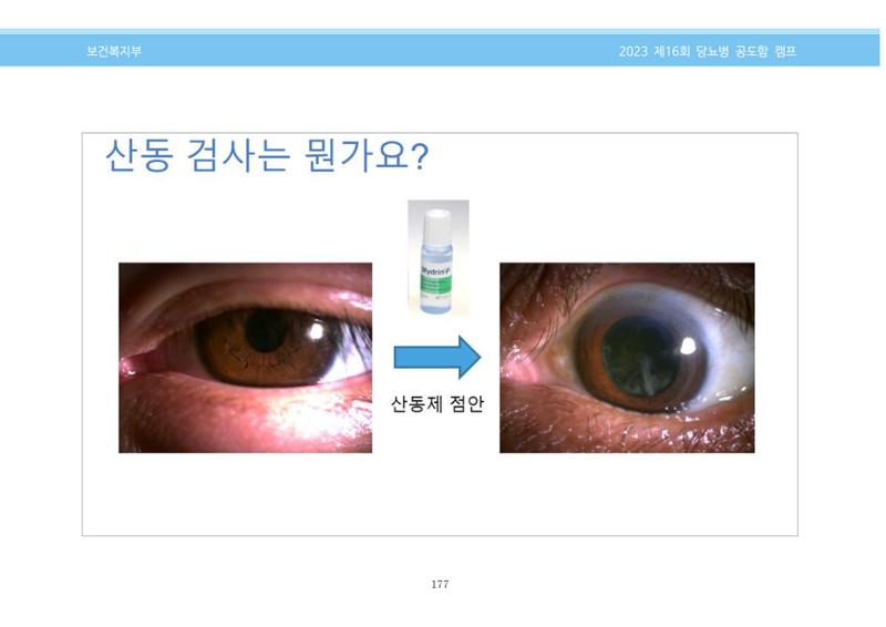 한국소아당뇨인협회 16회 공도함 캠프 E북 자료집 177페이지