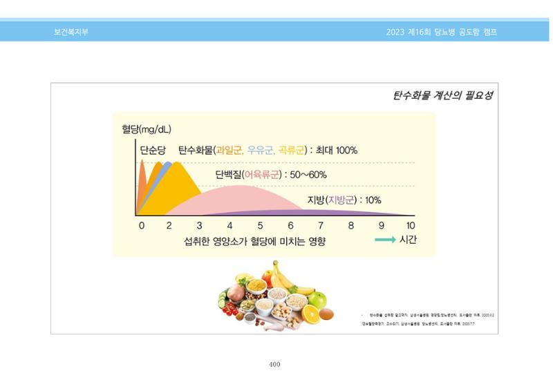 한국소아당뇨인협회 16회 공도함 캠프 E북 자료집 400페이지