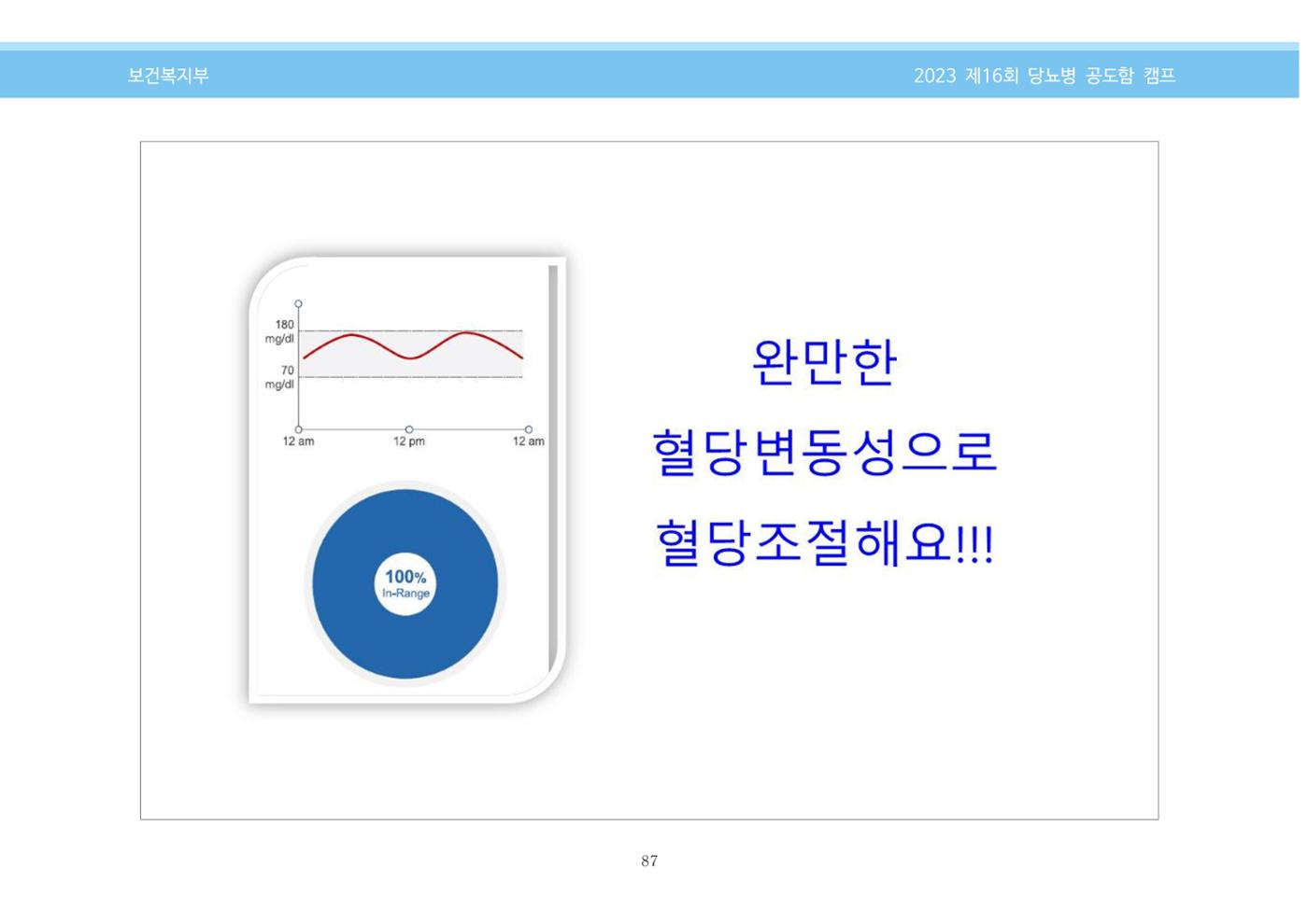 한국소아당뇨인협회 16회 공도함 캠프 E북 자료집 87페이지