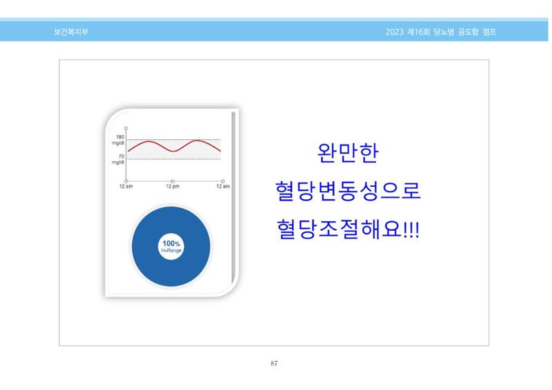 한국소아당뇨인협회 16회 공도함 캠프 E북 자료집 87페이지