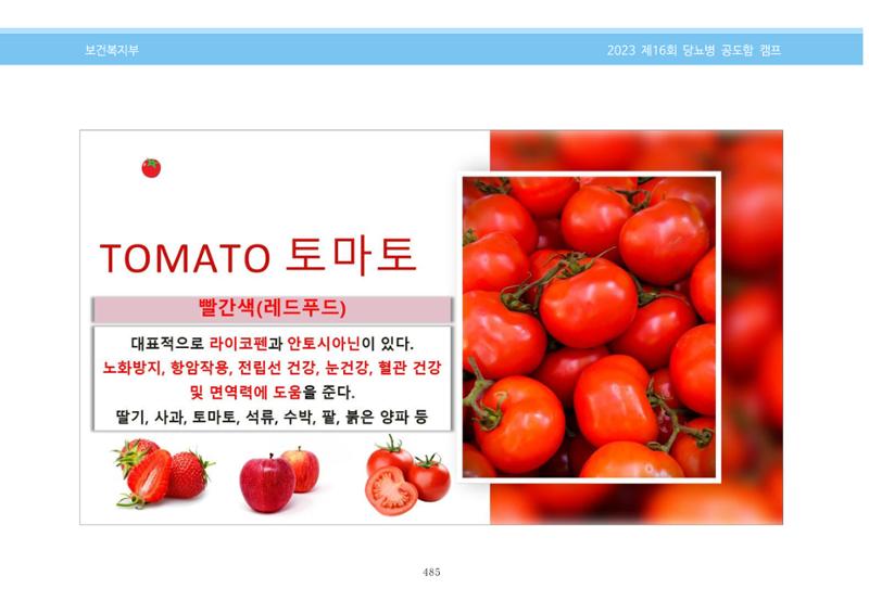한국소아당뇨인협회 16회 공도함 캠프 E북 자료집 485페이지