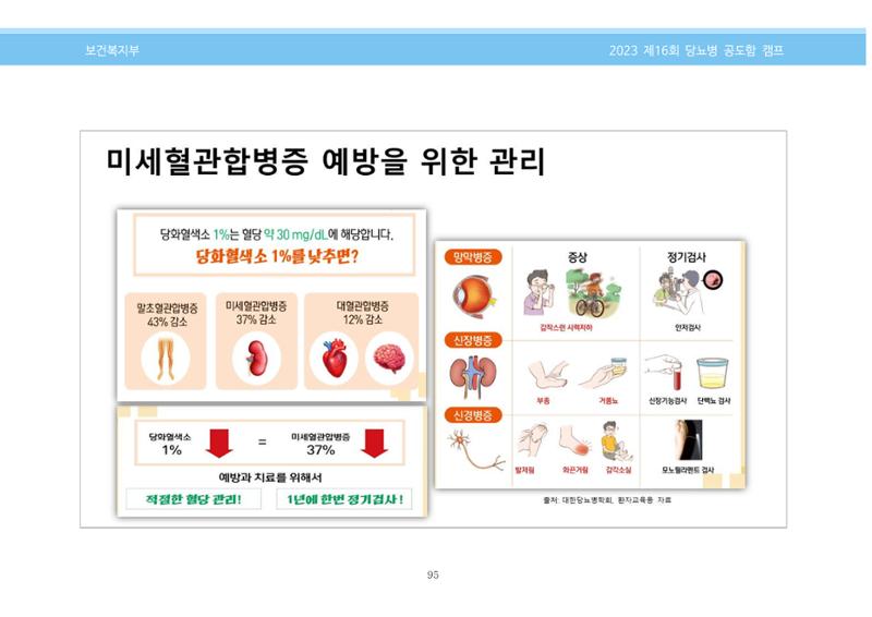 한국소아당뇨인협회 16회 공도함 캠프 E북 자료집 95페이지