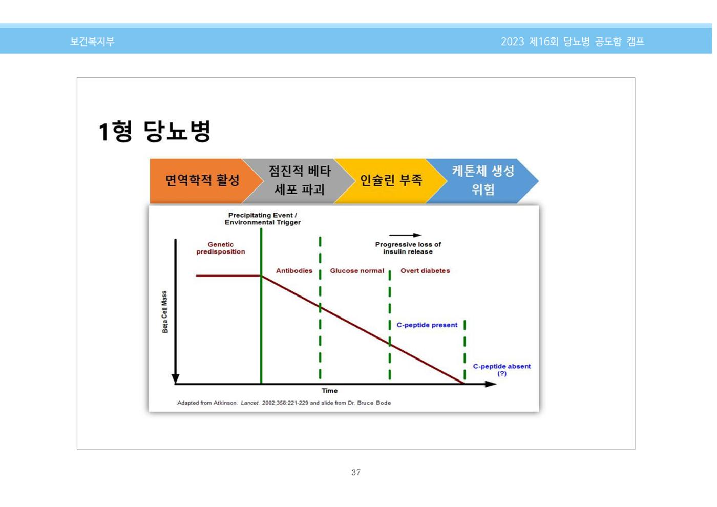 한국소아당뇨인협회 16회 공도함 캠프 E북 자료집 37페이지