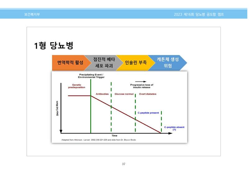 한국소아당뇨인협회 16회 공도함 캠프 E북 자료집 37페이지