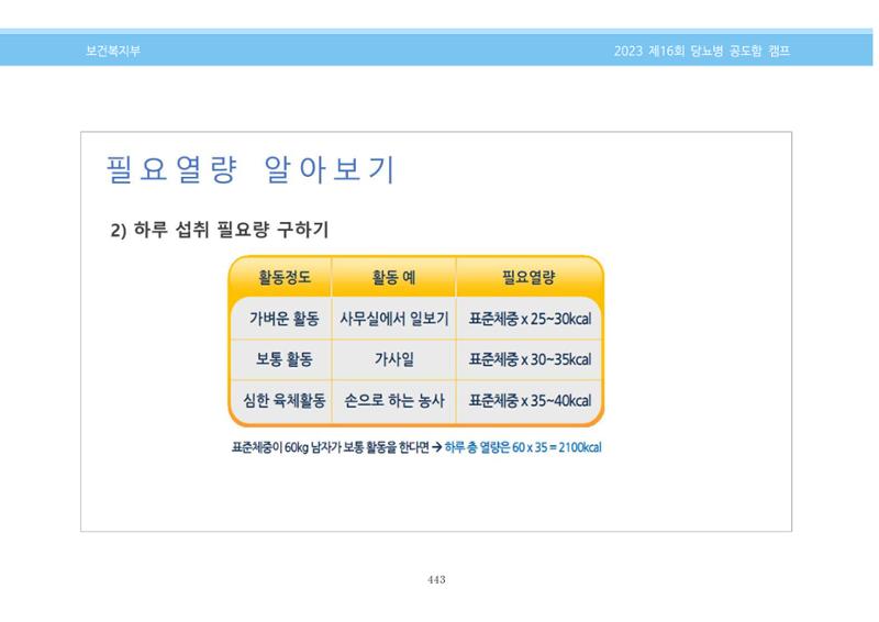 한국소아당뇨인협회 16회 공도함 캠프 E북 자료집 443페이지