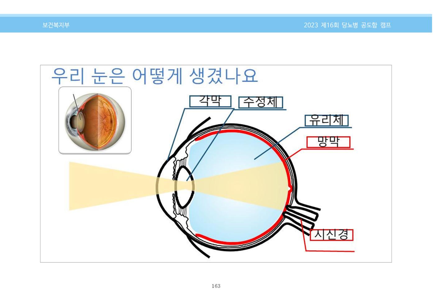 한국소아당뇨인협회 16회 공도함 캠프 E북 자료집 163페이지