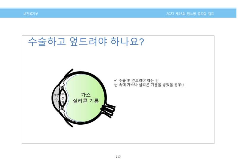 한국소아당뇨인협회 16회 공도함 캠프 E북 자료집 213페이지