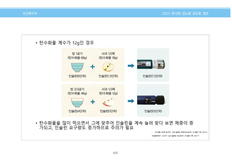 한국소아당뇨인협회 16회 공도함 캠프 E북 자료집 426페이지