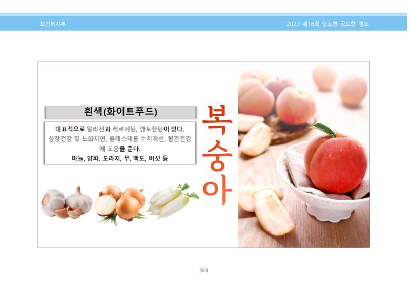 한국소아당뇨인협회 16회 공도함 캠프 E북 자료집 488페이지